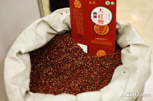 辣么鮮！陜西各地特產“一村一品”推介周，山陜土味兒饞哭全國食客